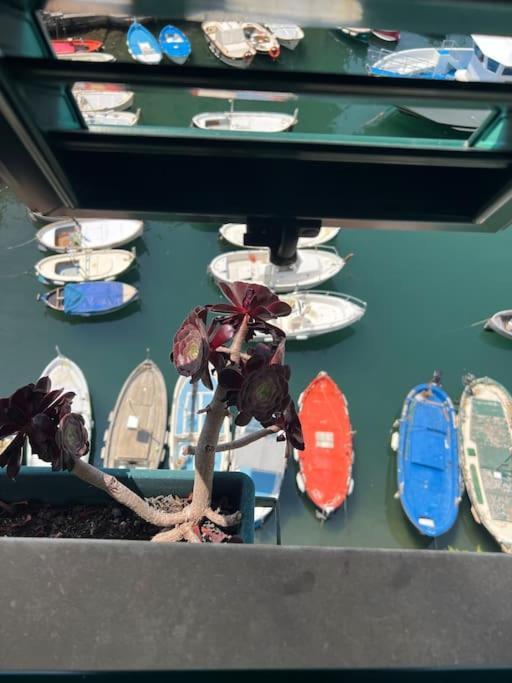 Apartmán Attico Sul Porticciolo Antico Di Camogli Exteriér fotografie