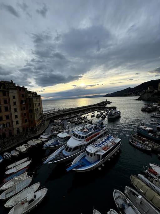 Apartmán Attico Sul Porticciolo Antico Di Camogli Exteriér fotografie