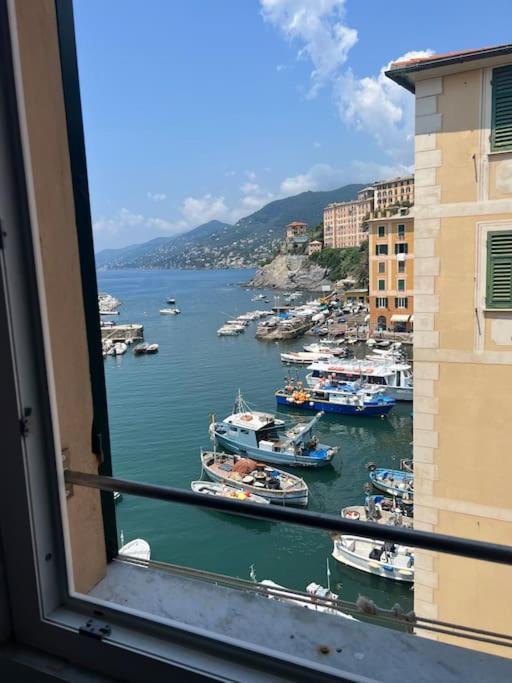 Apartmán Attico Sul Porticciolo Antico Di Camogli Exteriér fotografie